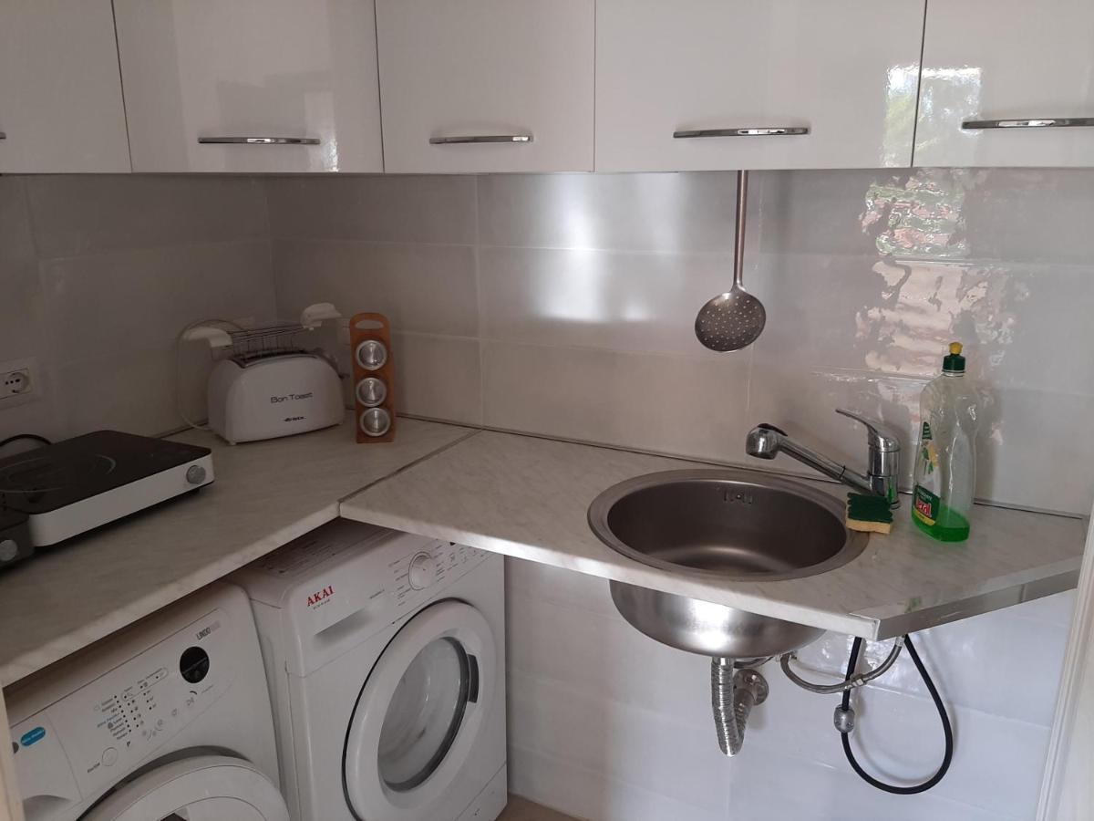 Algherooms المظهر الخارجي الصورة