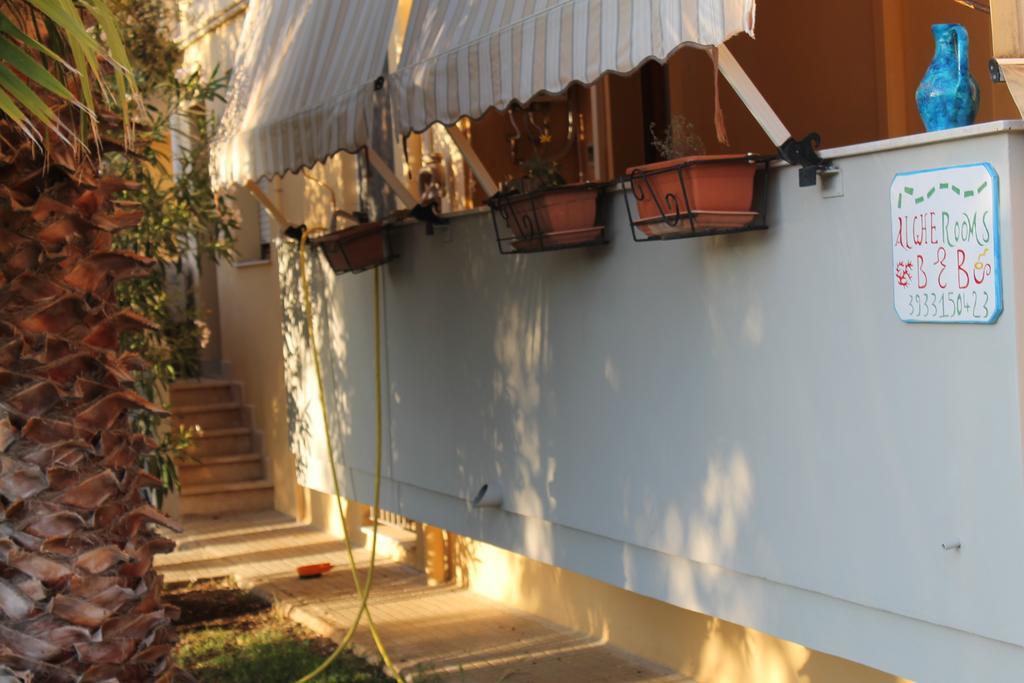 Algherooms المظهر الخارجي الصورة